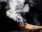 images/homepage/top-1/thumb3.jpg